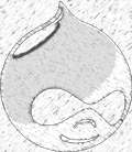 Drupal websites Drupal logo