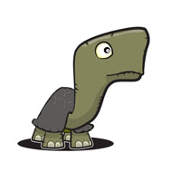 tortoise tortoise